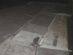 104.jpg