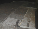 113.jpg