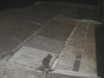 114.jpg
