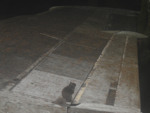 121.jpg