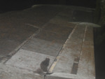 122.jpg