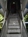 145.jpg