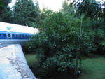 119.jpg