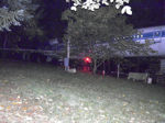 137.jpg