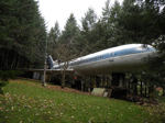 146.jpg