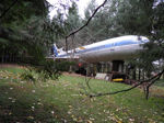 149.jpg