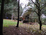 160.jpg