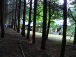 87.jpg