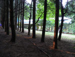 88.jpg