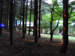 89.jpg