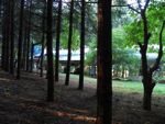 90.jpg