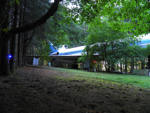 91.jpg