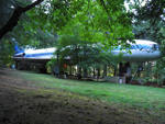 95.jpg